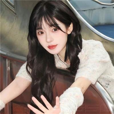 寻护者 海报
